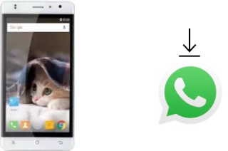 Cómo instalar WhatsApp en un Timmy M50