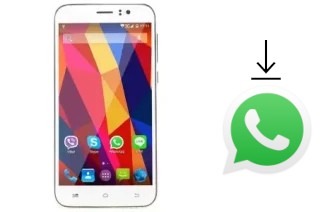 Cómo instalar WhatsApp en un Touchkon M509