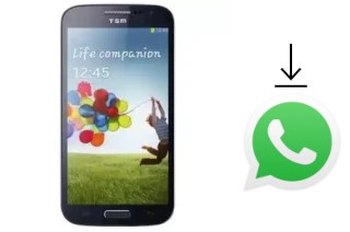 Cómo instalar WhatsApp en un TSM T968