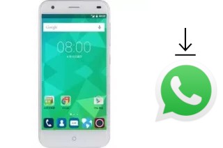 Cómo instalar WhatsApp en un TWM Amazing X6