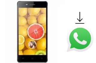 Cómo instalar WhatsApp en un TWZ Y55