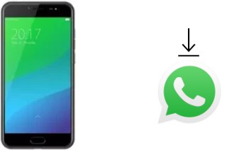 Cómo instalar WhatsApp en un Ulefone Gemini Pro