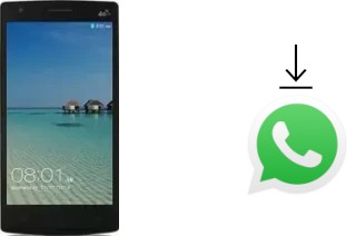 Cómo instalar WhatsApp en un Ulefone L55