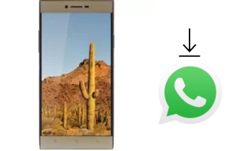 Cómo instalar WhatsApp en un VC Cactus