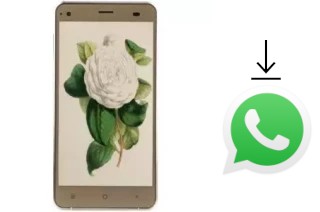 Cómo instalar WhatsApp en un VC Camellia