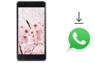 Cómo instalar WhatsApp en un VC Cherry