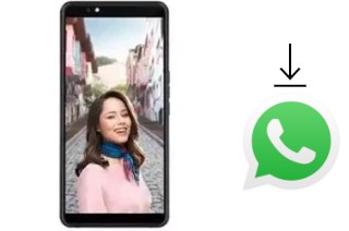 Cómo instalar WhatsApp en un Vestel Venus Z20