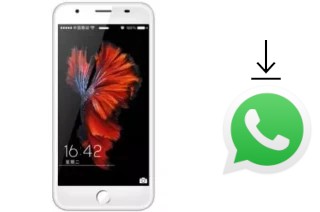 Cómo instalar WhatsApp en un VG V666 3G