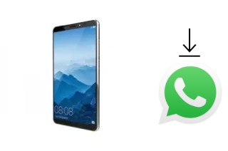 Cómo instalar WhatsApp en un VINOVO K10