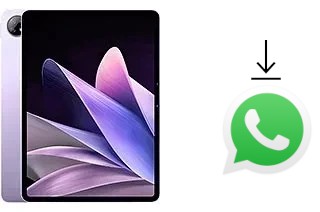 Cómo instalar WhatsApp en un vivo Pad2