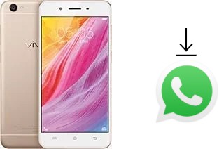 Cómo instalar WhatsApp en un vivo Y55s