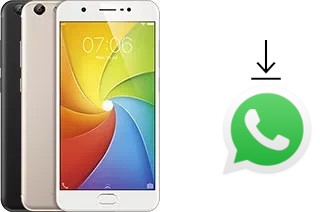 Cómo instalar WhatsApp en un vivo Y69