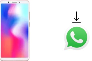 Cómo instalar WhatsApp en un Vivo Y73