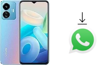 Cómo instalar WhatsApp en un vivo Y77