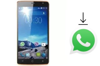 Cómo instalar WhatsApp en un Viwa X55