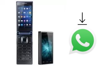 Cómo instalar WhatsApp en un VKworld T2