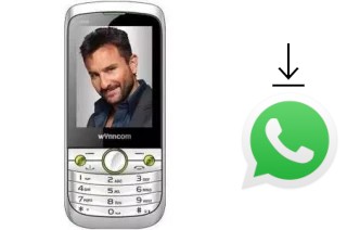 Cómo instalar WhatsApp en un Wynncom W405