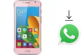 Cómo instalar WhatsApp en un X-TIGI J110