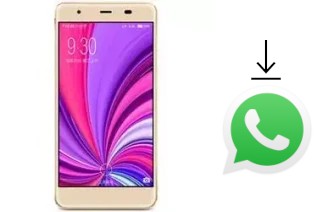 Cómo instalar WhatsApp en un Xiaolajiao S33