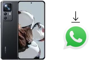 Cómo instalar WhatsApp en un Xiaomi 12T