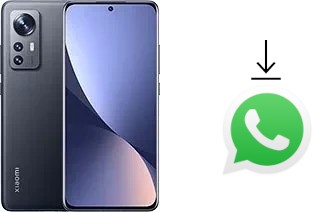 Cómo instalar WhatsApp en un Xiaomi 12X