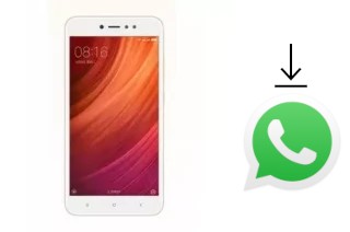 Cómo instalar WhatsApp en un Xiaomi Redmi Note 5A High Edition