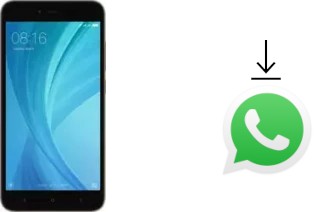 Cómo instalar WhatsApp en un Xiaomi Redmi Y1