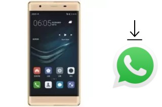 Cómo instalar WhatsApp en un Xplay P9I