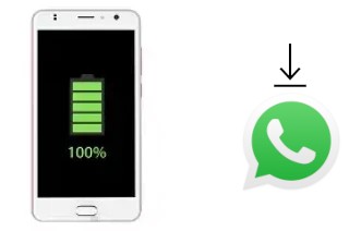 Cómo instalar WhatsApp en un Zopo Color X5.5i