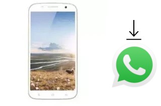 Cómo instalar WhatsApp en un Zopo ZP990 Gold Edition