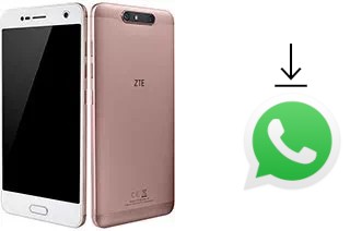 Cómo instalar WhatsApp en un ZTE Blade V8