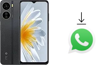 Cómo instalar WhatsApp en un ZTE Voyage 3D