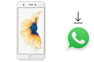 Cómo instalar WhatsApp en un ZYQ Q-ME Phone 7 3G