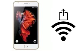 Generar QR con la clave Wifi en un L-Max Ester 1